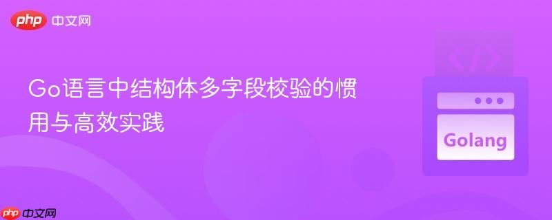 Go语言中结构体多字段校验的惯用与高效实践