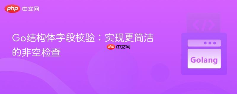 Go结构体字段校验:实现更简洁的非空检查