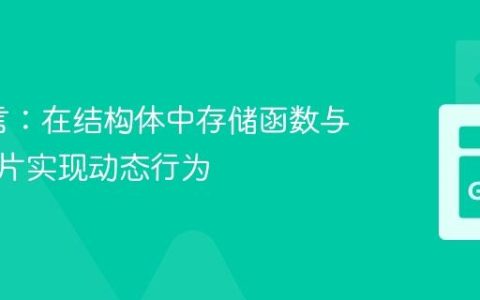 Go语言：在结构体中存储函数与函数切片实现动态行为