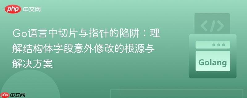 Go语言中切片与指针的陷阱：理解结构体字段意外修改的根源与解决方案