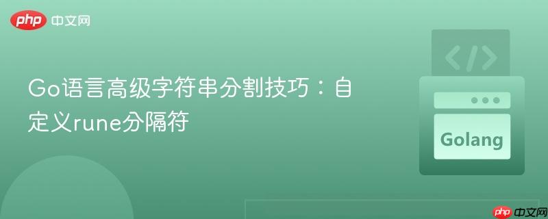 Go语言高级字符串分割技巧:自定义rune分隔符
