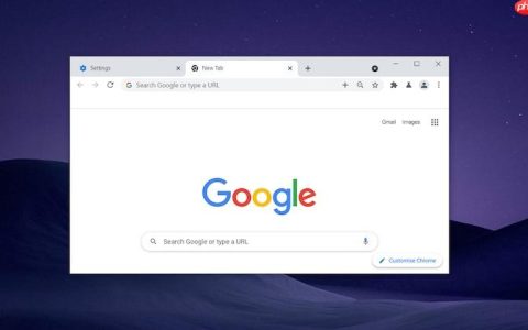 谷歌浏览器打不开扩展商店怎么办 Google Chrome扩展无法访问解决方案
