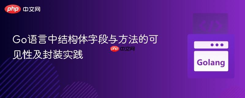 Go语言中结构体字段与方法的可见性及封装实践
