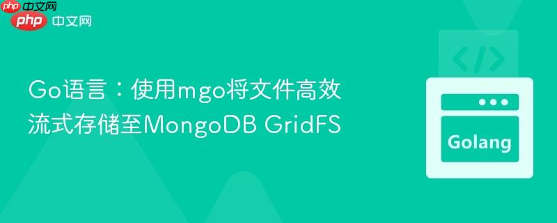 Go语言:使用mgo将文件高效流式存储至MongoDB GridFS