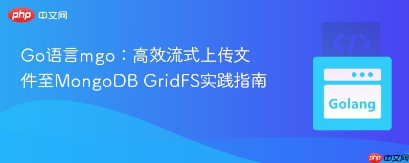 Go语言mgo:高效流式上传文件至MongoDB GridFS实践指南