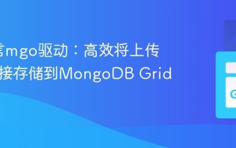 Go语言mgo驱动：高效将上传文件直接存储到MongoDB GridFS