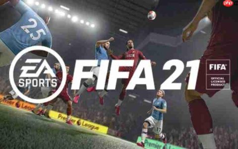 国外大神再添战绩！voices38攻破FIFA21 D加密