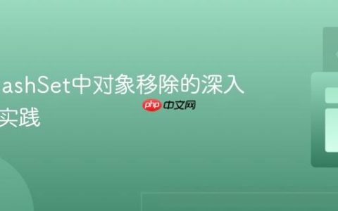 Java HashSet中对象移除的深入理解与实践