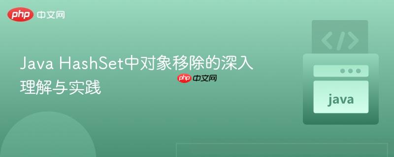 Java HashSet中对象移除的深入理解与实践