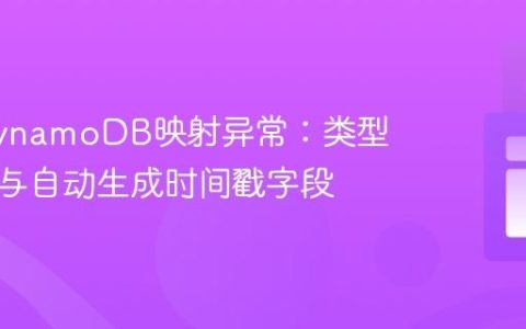 解决DynamoDB映射异常：类型不匹配与自动生成时间戳字段