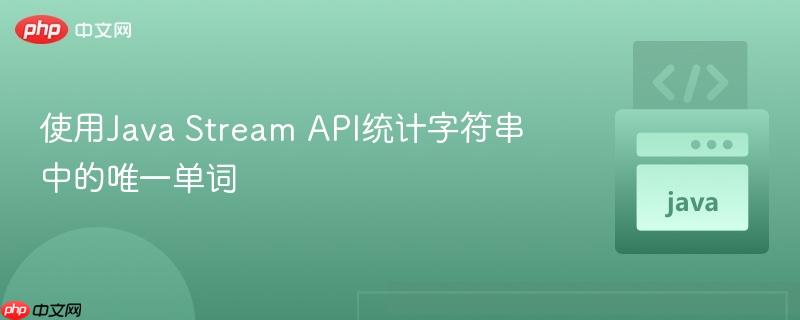 使用Java Stream API统计字符串中的唯一单词