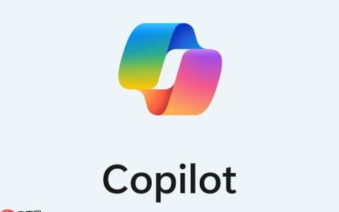 Copilot怎么用 新手入门Copilot使用方法【教程】