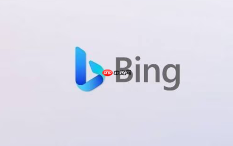 2026Bing搜索指南 Bing搜索引擎免登录地址