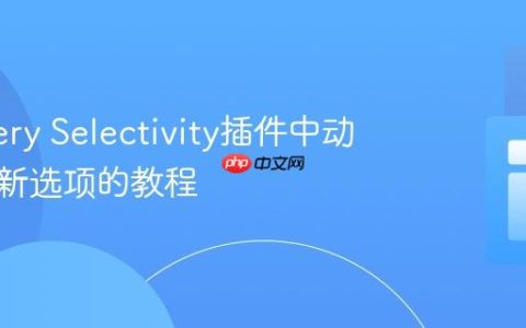 在jQuery Selectivity插件中动态添加新选项的教程