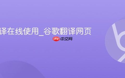 谷歌翻译在线使用_谷歌翻译网页版免费