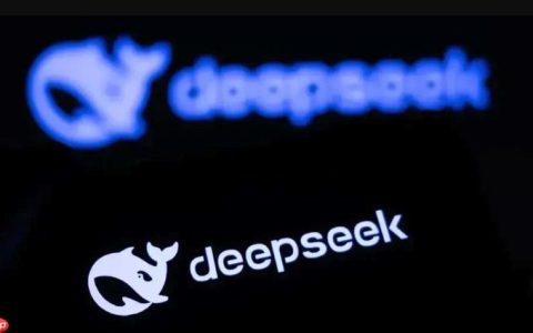 deepseek能否按行业术语定制回答_行业化定制回答设置教程【教程】