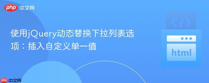 使用jQuery动态替换下拉列表选项:插入自定义单一值