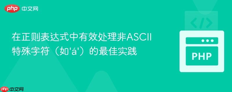 在正则表达式中有效处理非ASCII特殊字符（如'á'）的最佳实践