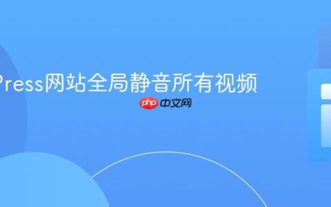 WordPress网站全局静音所有视频教程