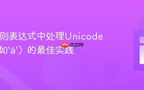 PHP正则表达式中处理Unicode字符（如‘á’）的最佳实践