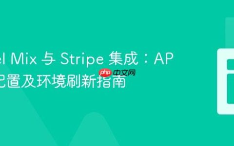Laravel Mix 与 Stripe 集成：API 公钥配置及环境刷新指南