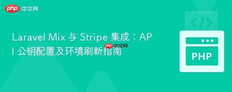 Laravel Mix 与 Stripe 集成:API 公钥配置及环境刷新指南