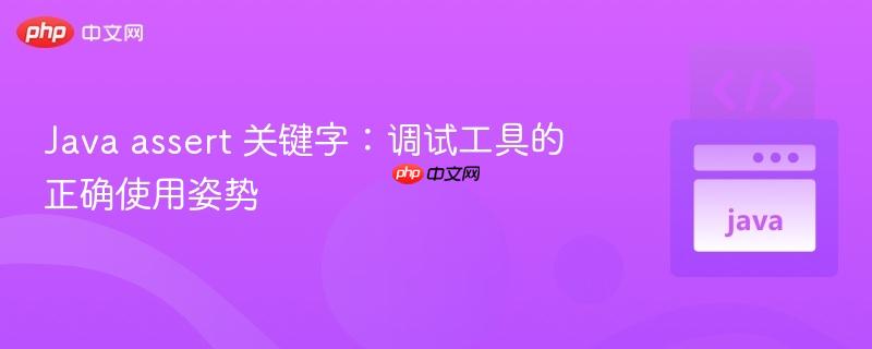 java assert 关键字:调试工具的正确使用姿势