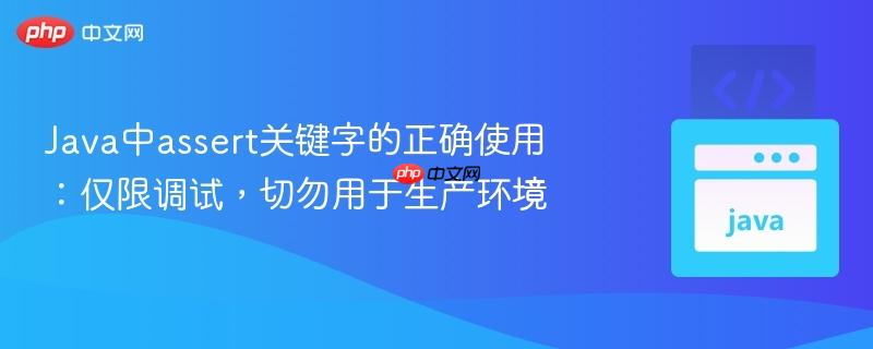 Java中assert关键字的正确使用:仅限调试,切勿用于生产环境