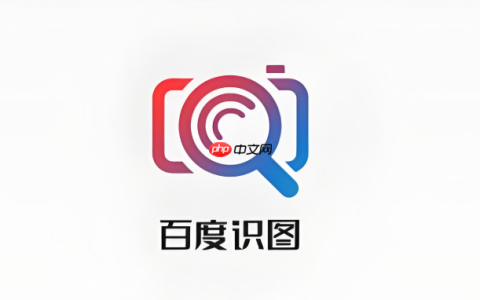 百度识图网页版使用指南 百度识图在线教程