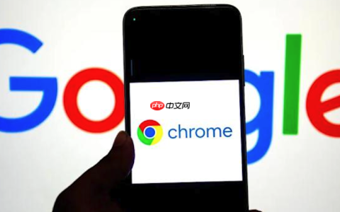 谷歌浏览器无法下载大文件怎么办 Google Chrome下载管理设置