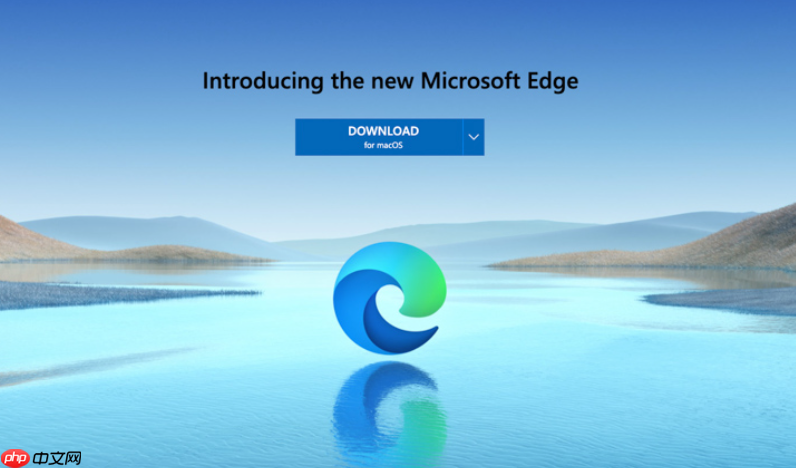 Microsoft Edge标签页崩溃怎么办 Microsoft Edge标签管理优化