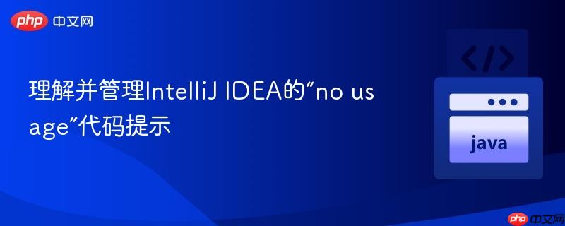 理解并管理IntelliJ IDEA的“no usage”代码提示