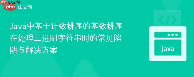 Java中基于计数排序的基数排序在处理二进制字符串时的常见陷阱与解决方案