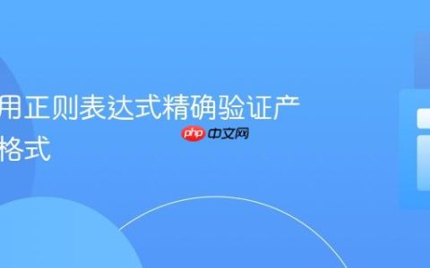 如何使用正则表达式精确验证产品代码格式