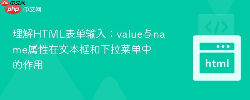 理解HTML表单输入：value与name属性在文本框和下拉菜单中的作用