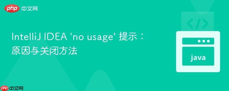 IntelliJ IDEA ‘no usage’ 提示:原因与关闭方法