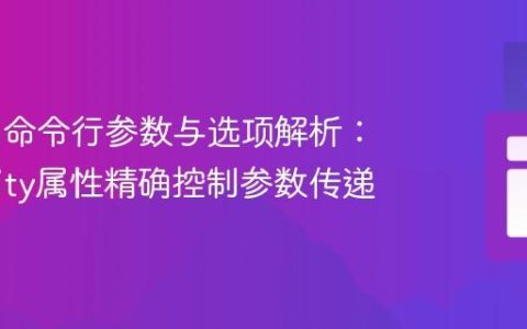 Picocli命令行参数与选项解析：使用arity属性精确控制参数传递