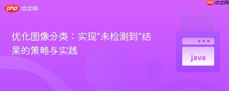 优化图像分类:实现“未检测到”结果的策略与实践