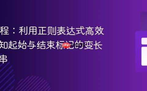 Java教程：利用正则表达式高效提取已知起始与结束标记的变长子字符串