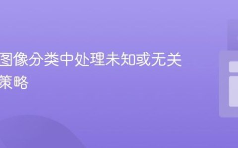 多类别图像分类中处理未知或无关输入的策略