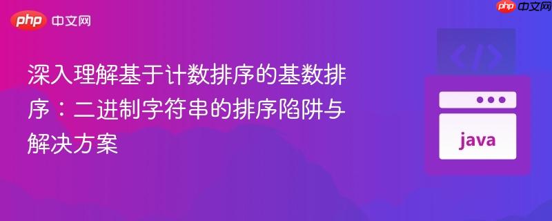 深入理解基于计数排序的基数排序:二进制字符串的排序陷阱与解决方案