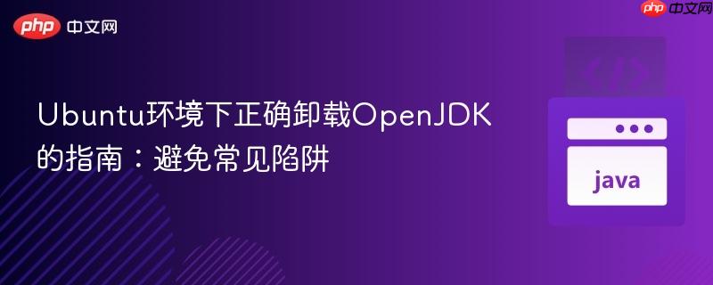 Ubuntu环境下正确卸载OpenJDK的指南:避免常见陷阱