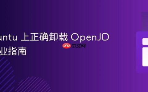 在 Ubuntu 上正确卸载 OpenJDK 的专业指南