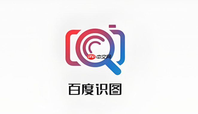 百度识图网页版体验 百度识图在线查询