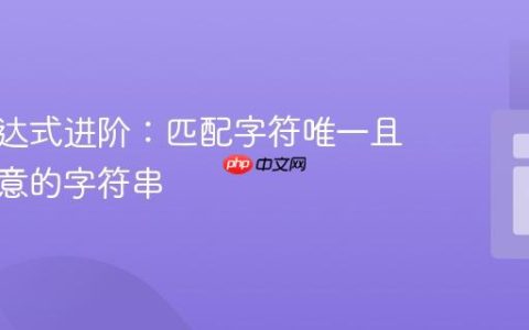 正则表达式进阶：匹配字符唯一且顺序任意的字符串