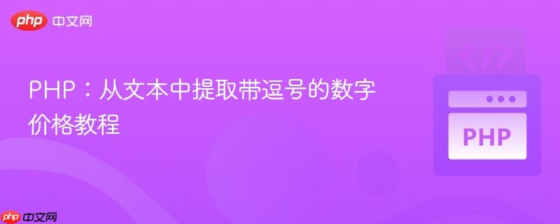 PHP:从文本中提取带逗号的数字价格教程