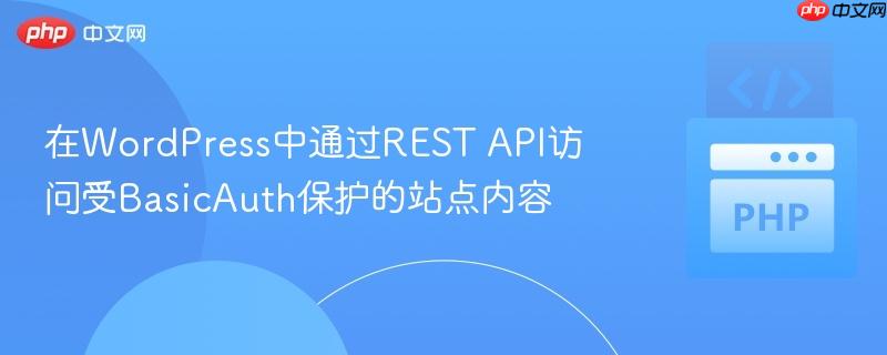 在wordpress中通过rest api访问受basicauth保护的站点内容