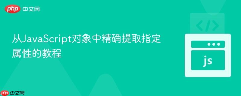 从JavaScript对象中精确提取指定属性的教程