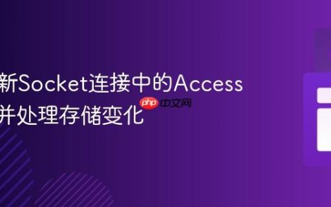 自动更新Socket连接中的Access Token并处理存储变化