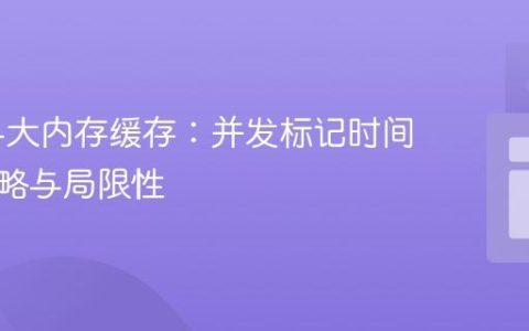 ZGC与大内存缓存：并发标记时间优化策略与局限性